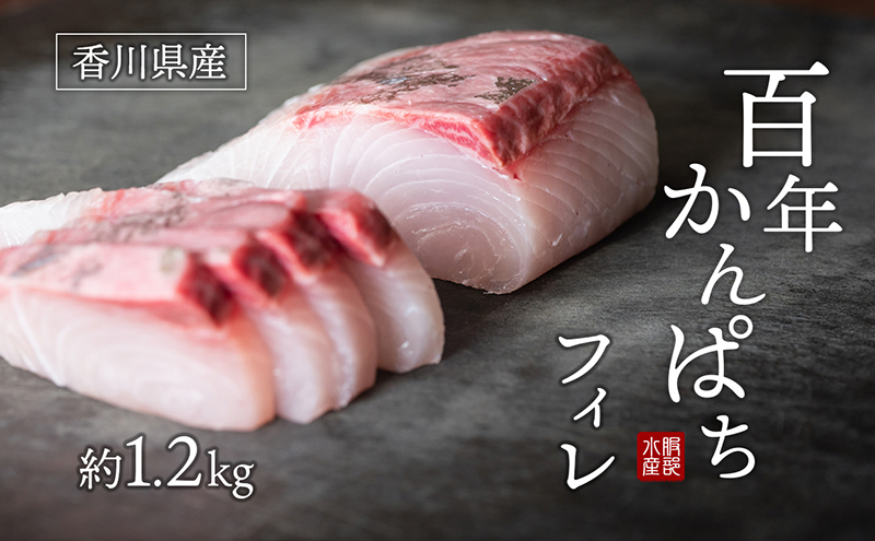 「百年かんぱち」フィレ 約1.2kg 