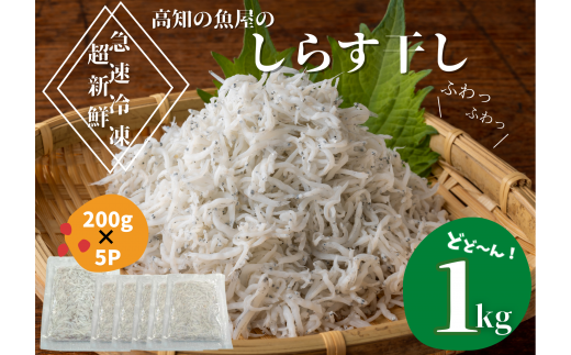 【四国一小さなまち】★カネアリ水産★ふわっふわ！土佐のしらす干し　1kg（約200g×5パック）　しらす しらす干し じゃこ ちりめんじゃこ ちりめん 干し 魚介 魚介類 栄養 栄養満点 離乳食 土佐 海鮮 魚屋 さかな 新鮮 食品 冷凍