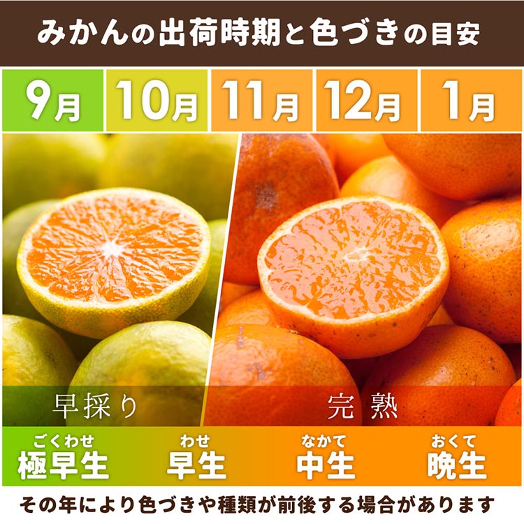image.jpg?1717579829