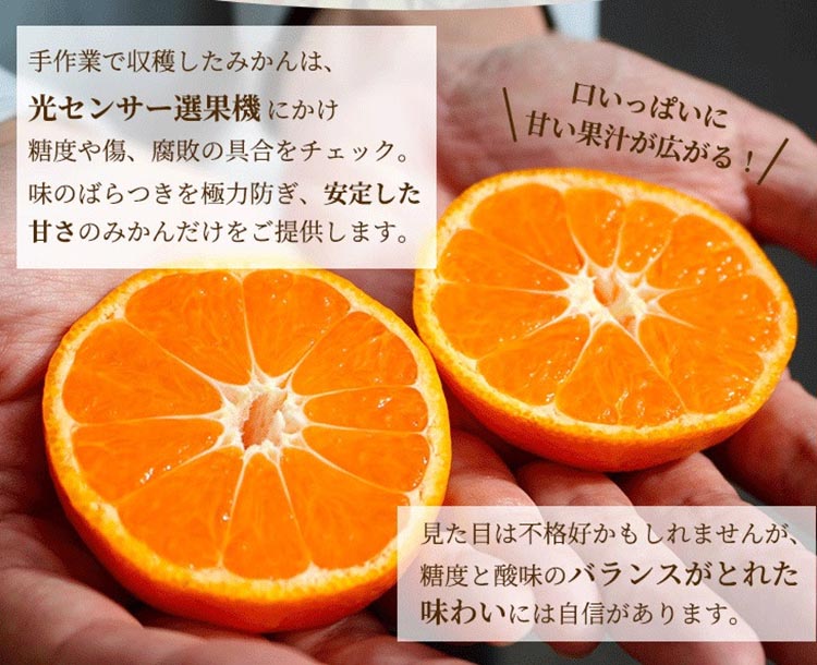 家庭用 完熟 有田みかん2.5kg+250g（傷み補償分）サイズ混合