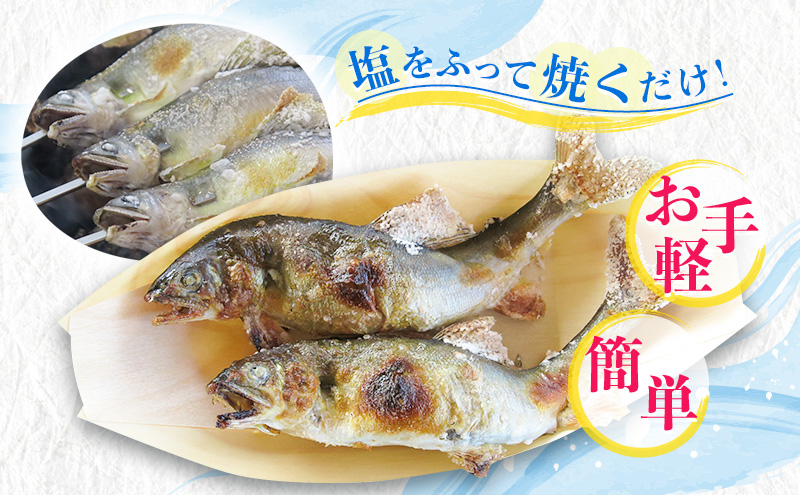 岐阜県瑞穂市のふるさと納税 塩焼用 活〆冷凍あゆ 約1kg（9尾～13尾） 魚貝類 鮎 アユ