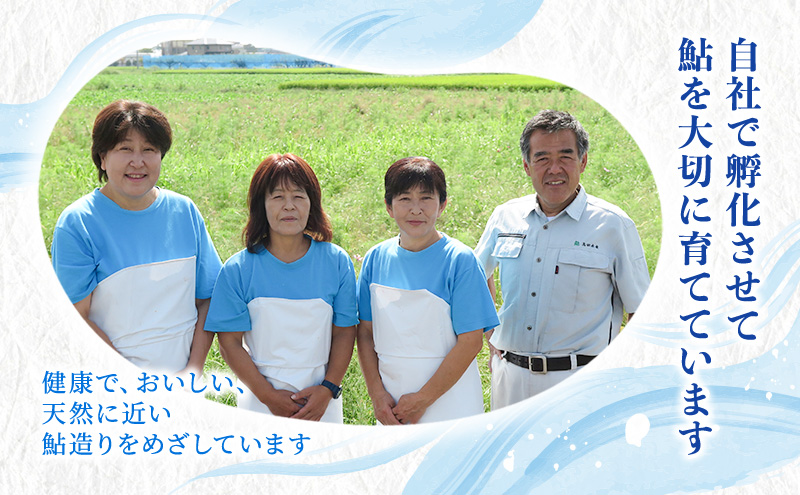 岐阜県瑞穂市のふるさと納税 塩焼用 活〆冷凍あゆ 約1kg（9尾～13尾） 魚貝類 鮎 アユ