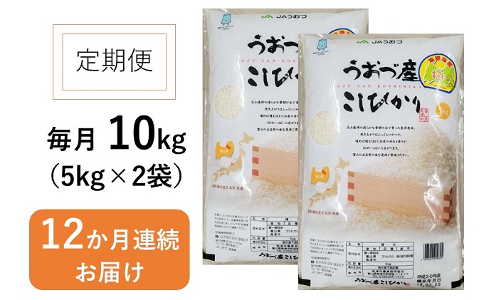 12回　12ヶ月　定期便　白米　コシヒカリ　米　精米　10kg　おこめ　コメ　こめ　(5kg×2袋)　富山　魚津産　お米　お楽しみ（富山県魚津市）　ふるさと納税サイト「ふるさとプレミアム」