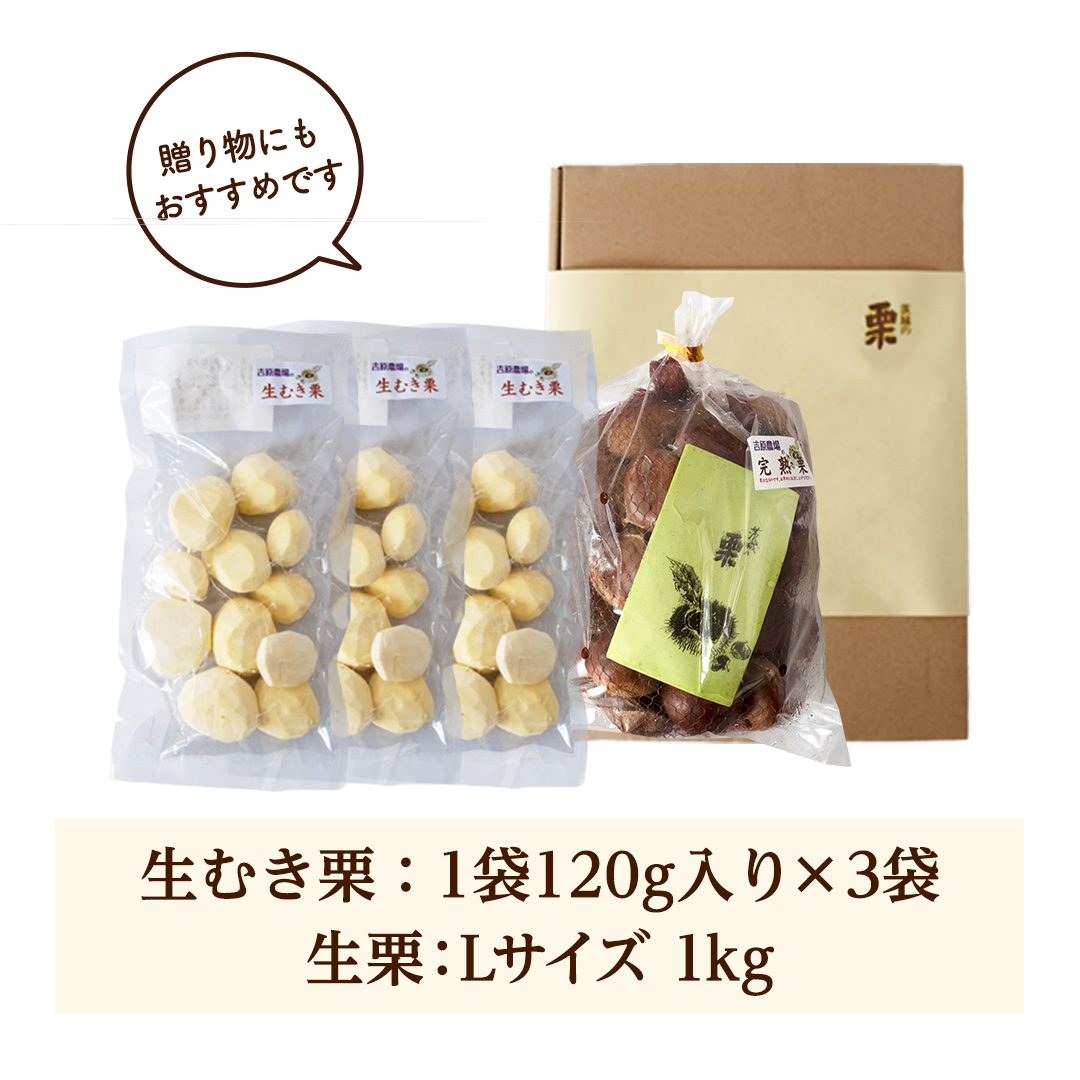 【 吉原農場 の 完熟栗 】 熟成 生栗 1kg Lサイズ ・ 生むき栗 3袋 セット 完熟 栗 くり クリ 栗ごはん 贈答 ギフト 果物 フルーツ  数量限定 旬 秋 冬 正月 おせち [CX010ci]|吉原農場