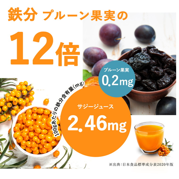 有機サジー果実ジュース 1000ml×3本 300ml×2本 有機サジー果実ジュース 1000ml×3本 300ml×2本
