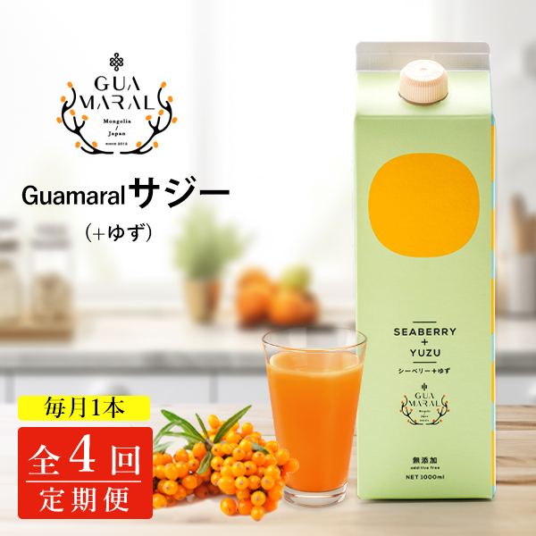 定期便4カ月】サジー グアマラルサジー＋ゆず 1000ml 毎月1本4
