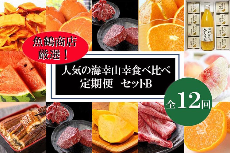 〈毎月定期便〉人気の海幸山幸食べ比べ セットB 【定期便全12回】【魚鶴商店厳選】◇