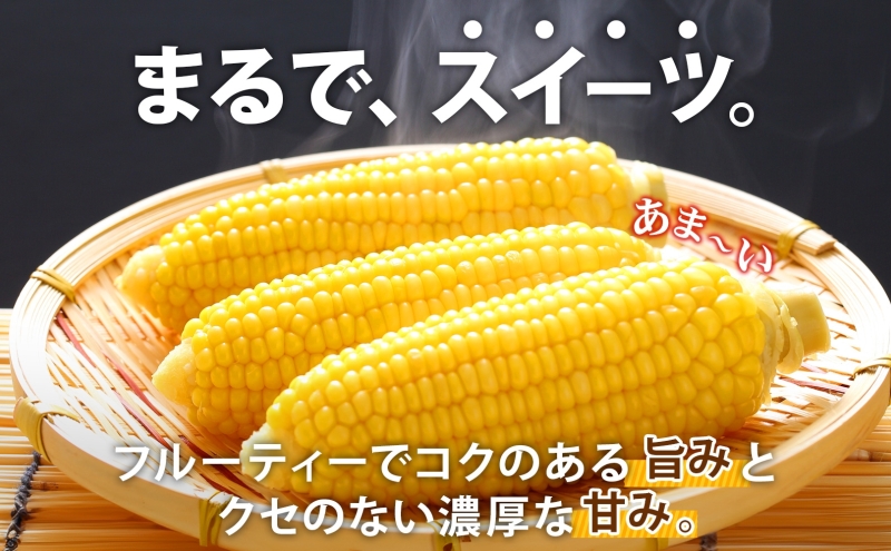 北海道伊達市のふるさと納税 先行予約 【 2025年 発送 】北海道 朝もぎ とうもろこし 恵味 ゴールド L-LLサイズ 20本 スイート コーン トウモロコシ とうきび 旬 完熟 野菜 採れたて 朝採り 甘い めぐみ 産地直送 道産 送料無料