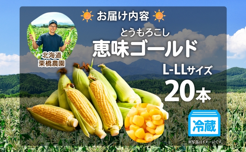 北海道伊達市のふるさと納税 先行予約 【 2025年 発送 】北海道 朝もぎ とうもろこし 恵味 ゴールド L-LLサイズ 20本 スイート コーン トウモロコシ とうきび 旬 完熟 野菜 採れたて 朝採り 甘い めぐみ 産地直送 道産 送料無料