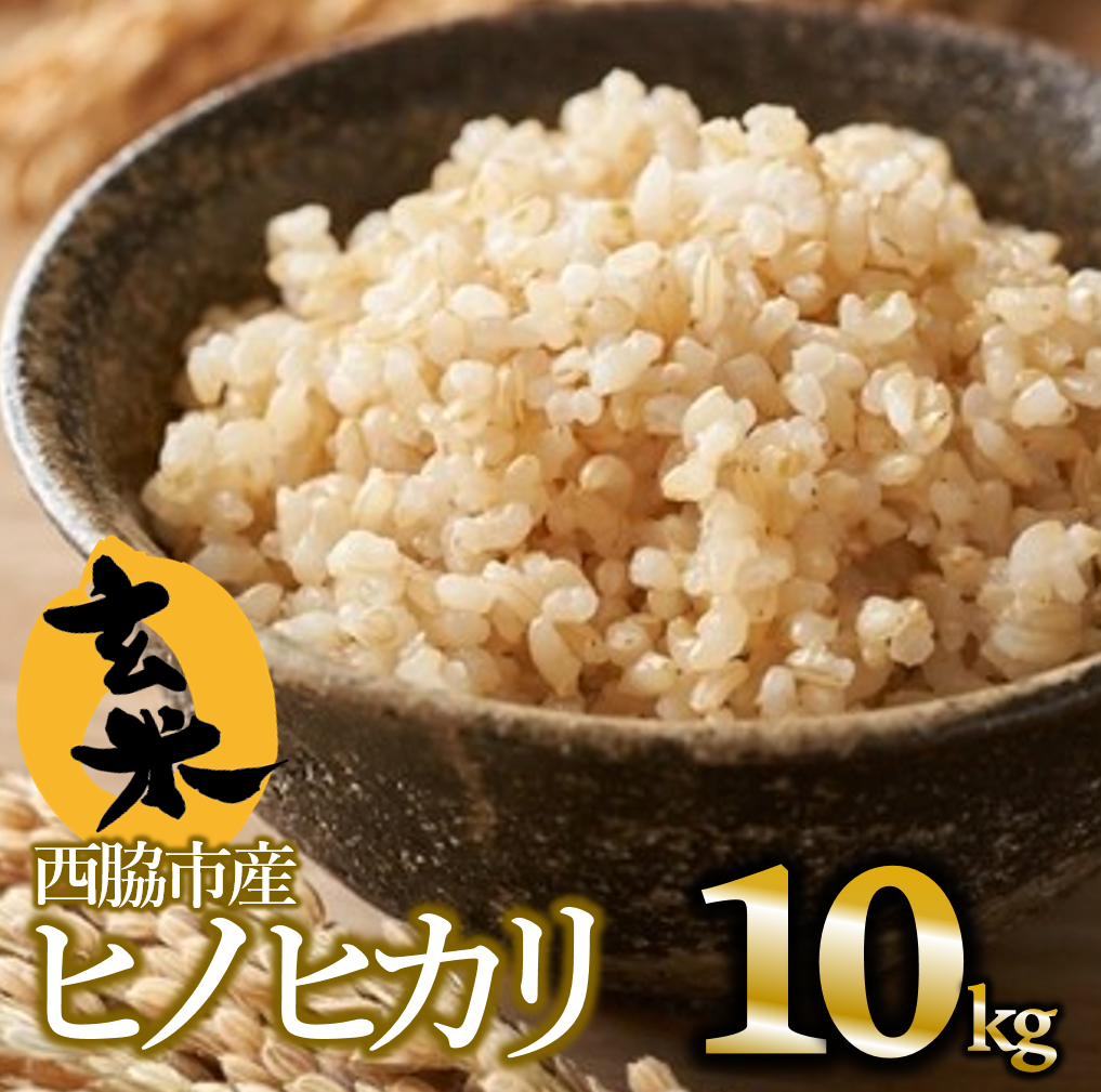 令和6年産ヒノヒカリ玄米10kg