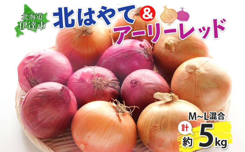 北海道 玉ねぎ 各2.5kg 計 約 5kg M-L混合 北はやて アーリーレッド タマネギ たまねぎ 玉葱 玉ネギ レッドオニオン オニオン 伊達野菜  野菜 新鮮 採れたて 産地直送 木須農園 送料無料