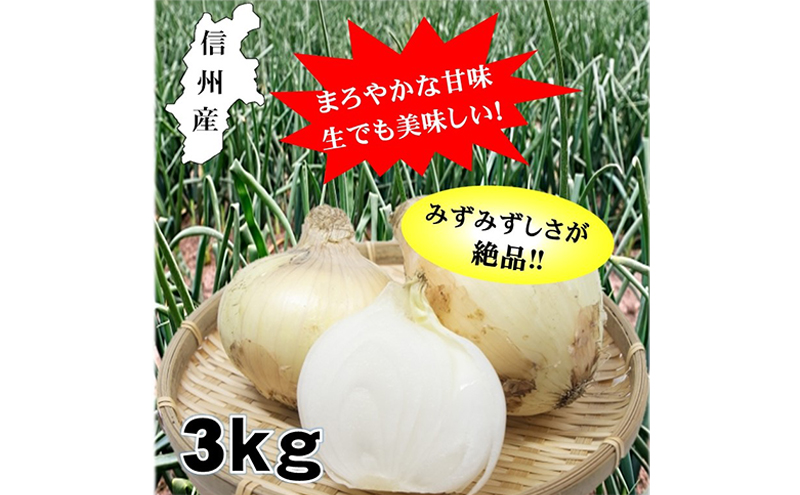 小諸産減農薬栽培・玉ねぎ約3kg|有限会社　ミキ・コーポレーション（信州浅間ファーム）