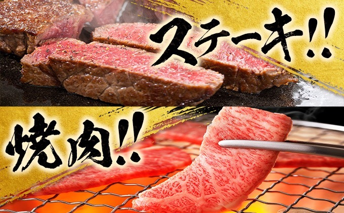 宮崎県日南市のふるさと納税 【令和7年1月から毎月配送】赤身肉の4か月定期便 数量限定 黒毛和牛 赤身 牛肉 お楽しみ 定期便 総重量1.7kg 肉 焼肉 ステーキ すき焼き しゃぶしゃぶ スライス ブロック 牛丼 赤身もも 国産 食品 おかず ミヤチク 高級 BBQ バーベキュー おすすめ 食べ比べ 宮崎県 日南市 送料無料_GH3-23-L