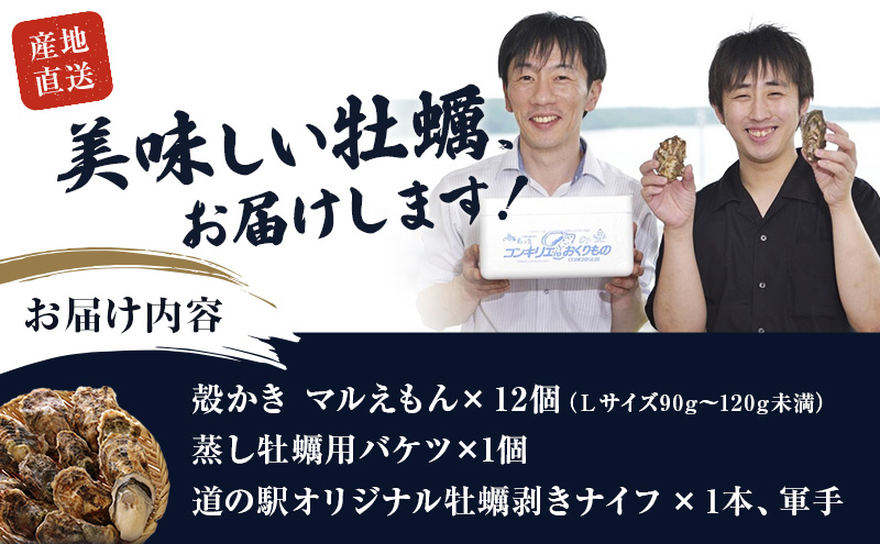 北海道厚岸町のふるさと納税 元祖 厚岸バケツ牡蠣セット12個 北海道 牡蠣 カキ かき 魚介類 シーフード マルえもん