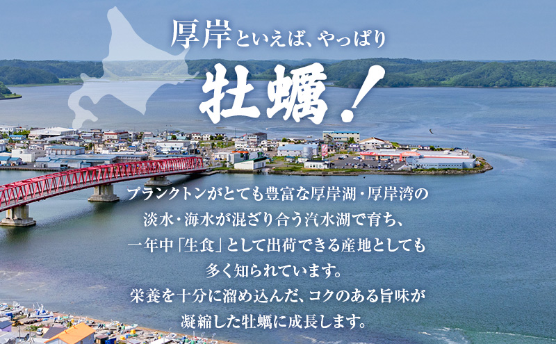 北海道厚岸町のふるさと納税 先行予約 厚岸産 『 マルえもん 』『 カキえもん 』『 弁天かき 』3種 食べ比べ セット  北海道 牡蠣 カキ かき 生食 生食用 生牡蠣