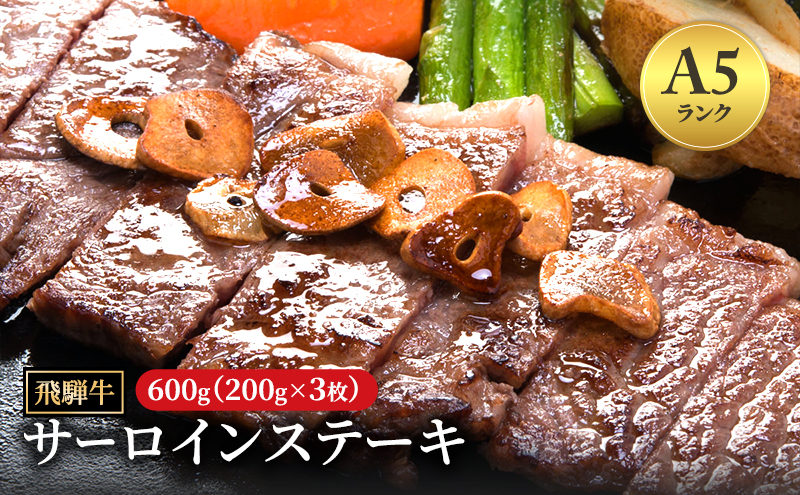 【岐阜県瑞穂市】飛騨牛 牛肉 肉 ステーキ サーロイン 600g 200g×3枚 A5 和牛 【岐阜県瑞穂市】