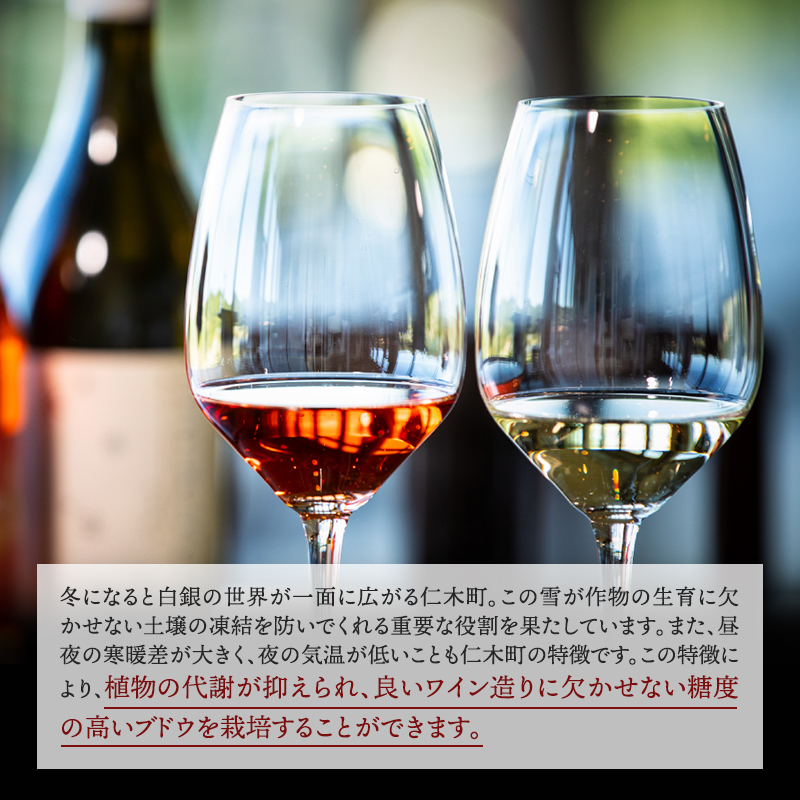 北海道仁木町のふるさと納税 NIKI Hills Winery 白ワイン【 NEIRO 2023 Assemblage 】 750ml ワイン 洋酒