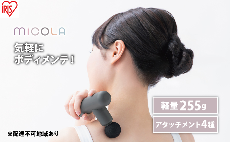 y{錧͌znfBK y MiCOLA r[eB[PAK FRT-M01-H _[NO[  ACXI[} [XK ^ RpNg ~R {fBPA [d USB-typeC |[`t