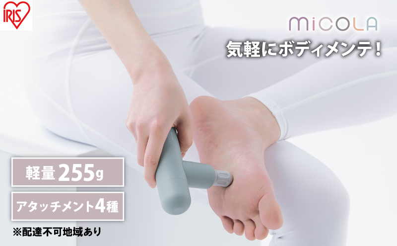 y{錧͌znfBK y MiCOLA r[eB[PAK FRT-M01-A u[  ACXI[} [XK ^ RpNg ~R {fBPA [d USB-typeC |[`t