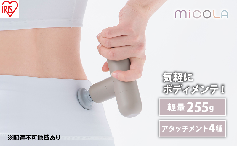 y{錧͌znfBK y MiCOLA r[eB[PAK FRT-M01-T J  ACXI[} [XK ^ RpNg ~R {fBPA [d USB-typeC |[`t
