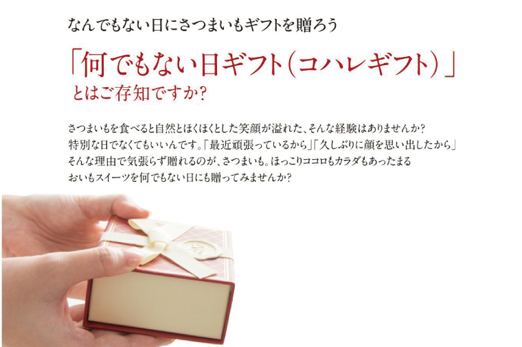 茨城県行方市のふるさと納税 CQ-46　らぽっぽ 熟成蔵 熟成干し芋スライス（1袋 80g） 7袋　干しいも ほし芋 ほしいも ギフト さつまいもスイーツ ご褒美スイーツ  芋スイーツ おいもスイーツ お菓子 さつまいも  健康 おやつ