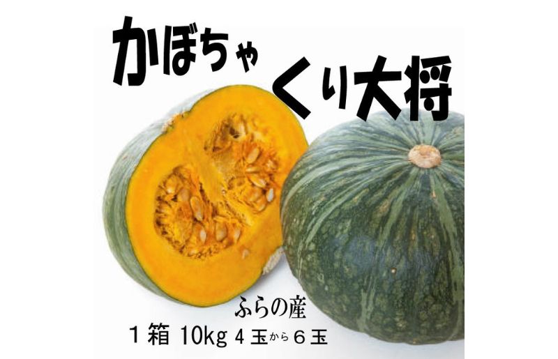 北海道富良野市のふるさと納税 2025年秋発送【数量・期間限定】ふらの産 かぼちゃ10kg［くり大将］ 富良野 北海道 カボチャ 南瓜 甘い 野菜