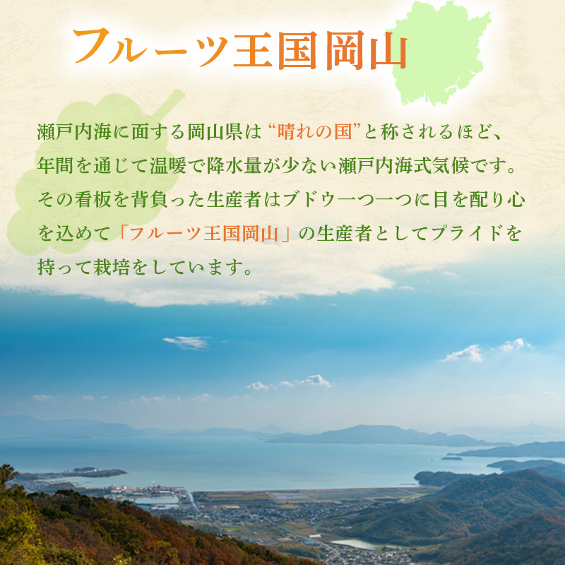 岡山県玉野市のふるさと納税 ぶどう 2025年 先行予約 ご家庭用 シャイン マスカット 2～3房 合計約1.2kg ブドウ 葡萄  岡山県産 国産 フルーツ 果物 ギフト