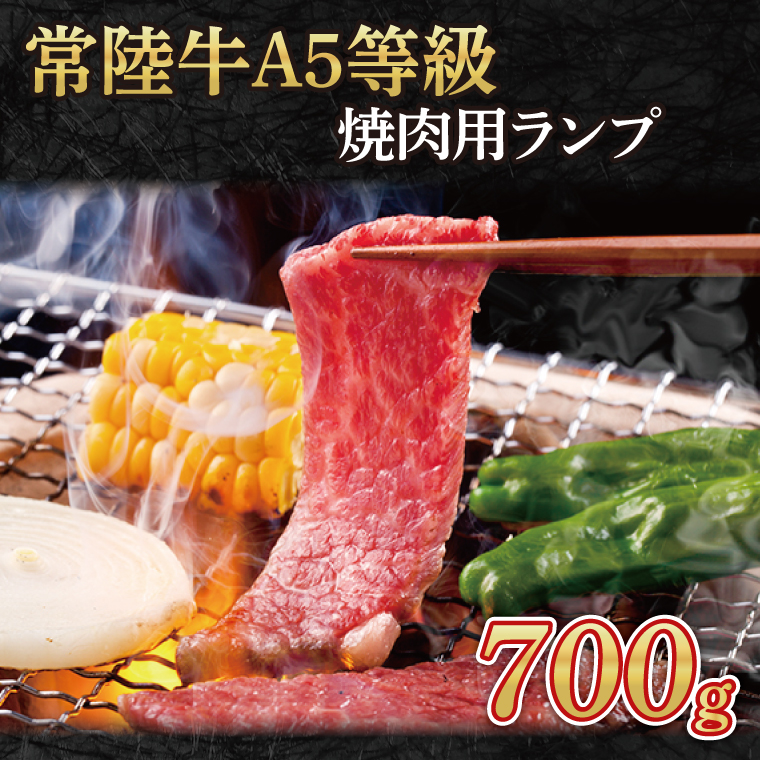 【茨城県大子町】常陸牛A5等級 焼肉用700g(ランプ)(AC004)