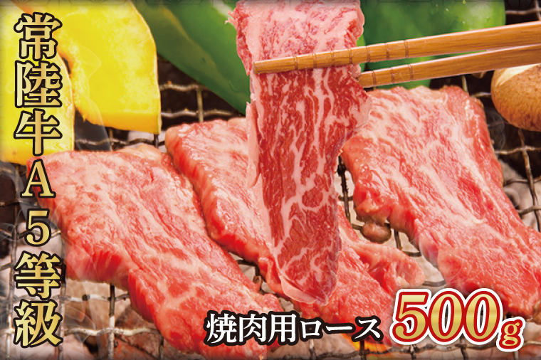 常陸牛A5等級　焼肉用500g（ロース）（AC008）