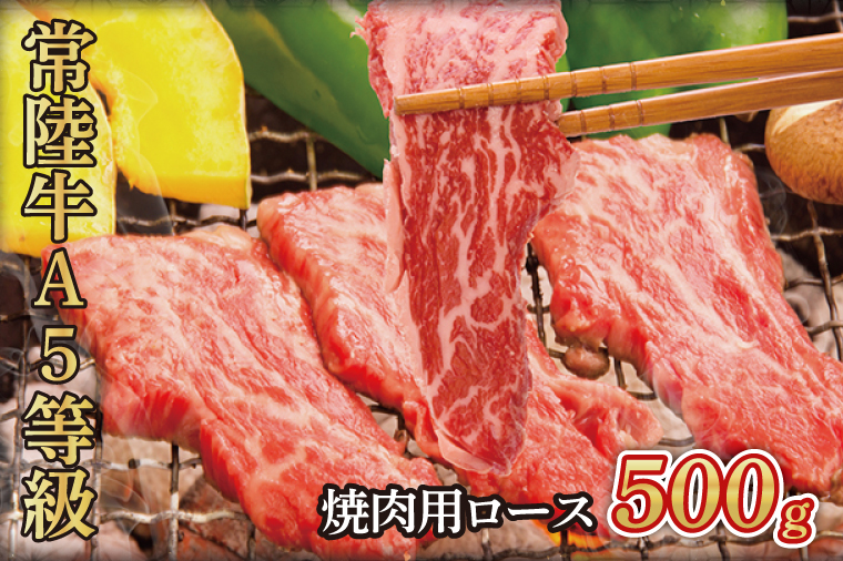 【茨城県大子町】常陸牛A5等級 焼肉用500g(ロース)(AC008)