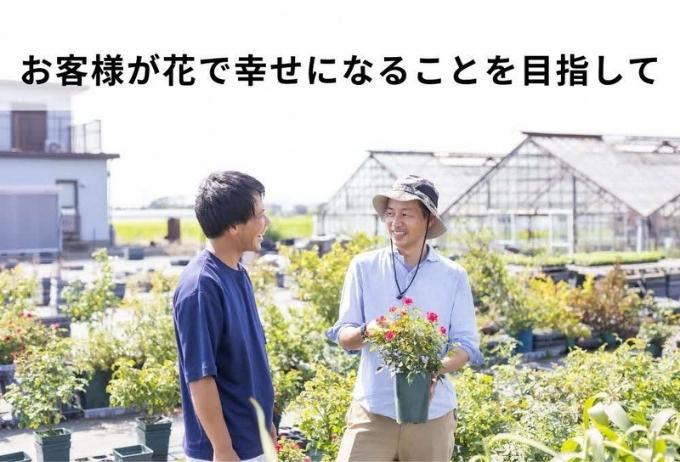 兵庫県稲美町のふるさと納税 花 定期便 4ヶ月季節の花苗 セット 花き品評会理事長賞受賞 花苗 生産者直送 庭季節の花苗セット ガーデニング 花壇 苗 苗木 花の苗 花の苗物 定期 お楽しみ 4回 お届け