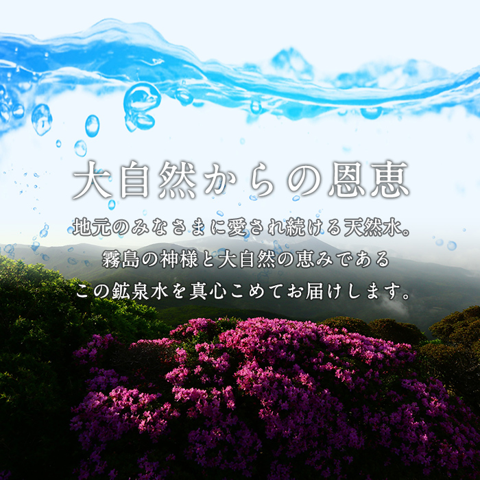 鹿児島県霧島市のふるさと納税 B-025 ＜定期便・全5回＞関平鉱泉水10L×1箱ずつお届け(計5箱)【関平鉱泉所】 霧島市 シリカ シリカ水 水 シリカミネラルウォーター