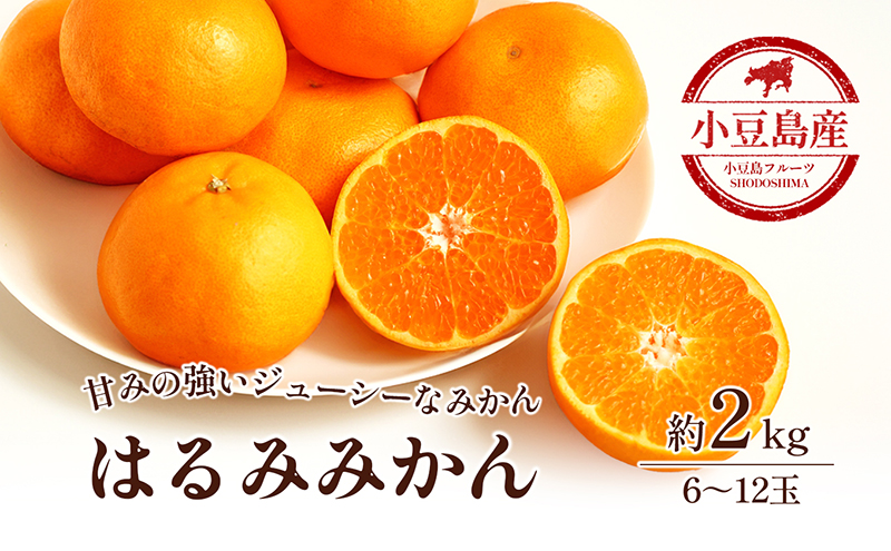 香川県土庄町のふるさと納税 【 小豆島 】小豆島 はるみみかん 約2kg 蜜柑 みかん ミカン はるみ 果物 フルーツ 国産 くだもの 国産 香川 香川県 土庄 土庄町