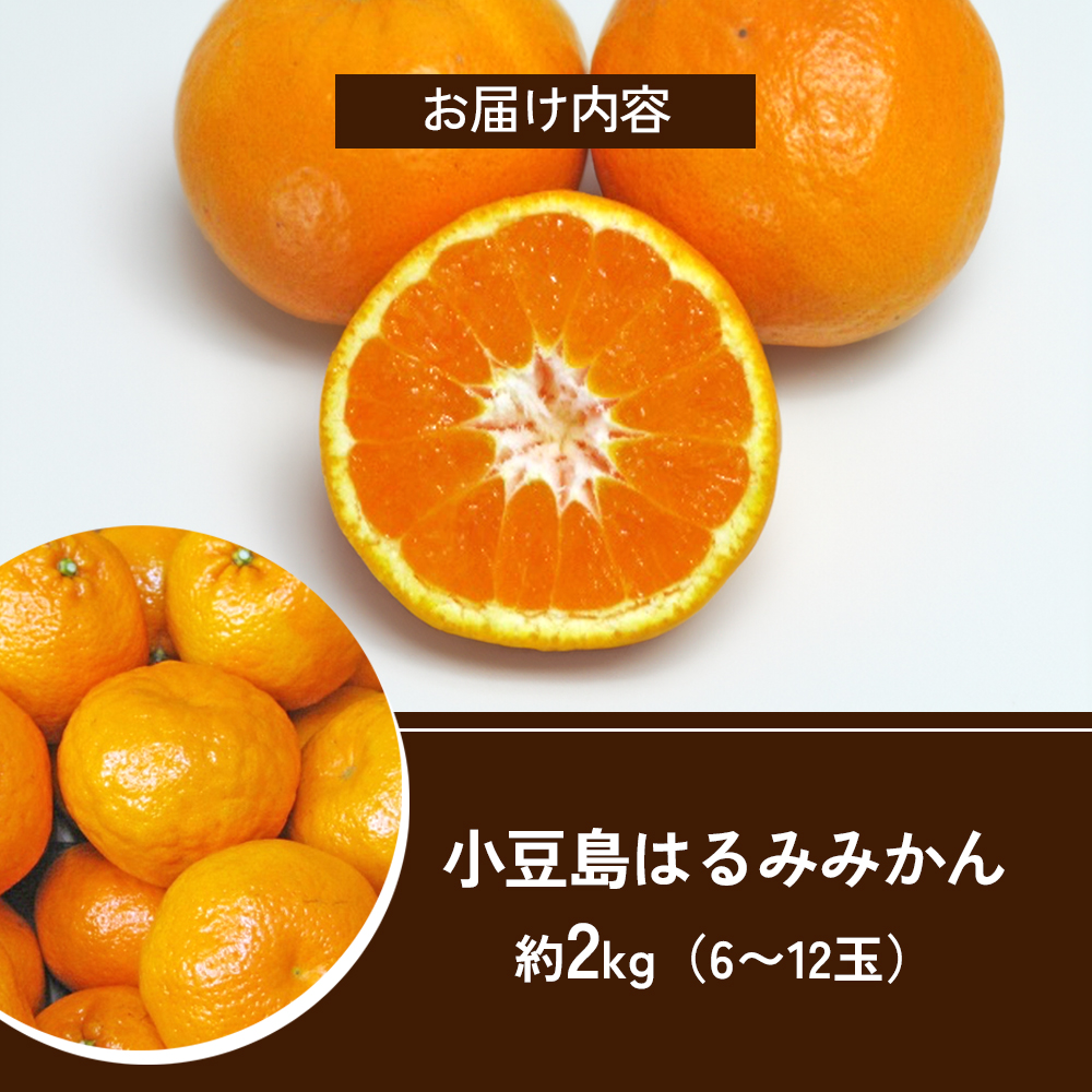 香川県土庄町のふるさと納税 【 小豆島 】小豆島 はるみみかん 約2kg 蜜柑 みかん ミカン はるみ 果物 フルーツ 国産 くだもの 国産 香川 香川県 土庄 土庄町