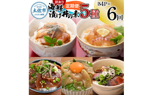 【6回定期便】訳あり土佐の海鮮漬け丼（5種×各4袋）セット 漬け丼の素 タイ 鯛 ブリ 鰤 マグロ 鮪 イカ カツオ 鰹 たたき 新鮮 魚 おかず おつまみ 惣菜 小分け 簡単 訳アリ わけあり