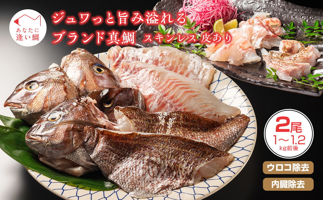 Mieさま 眩し