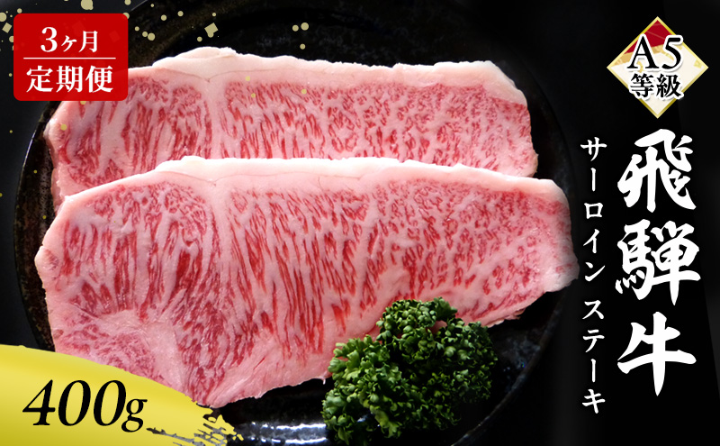 【定期便3ヶ月】牛肉 飛騨牛 サーロイン ステーキ セット 400g（1枚 約200g×2枚） 黒毛和牛 A5 美味しい お肉 牛 肉 和牛 サーロインステーキ 【岐阜県瑞穂市】