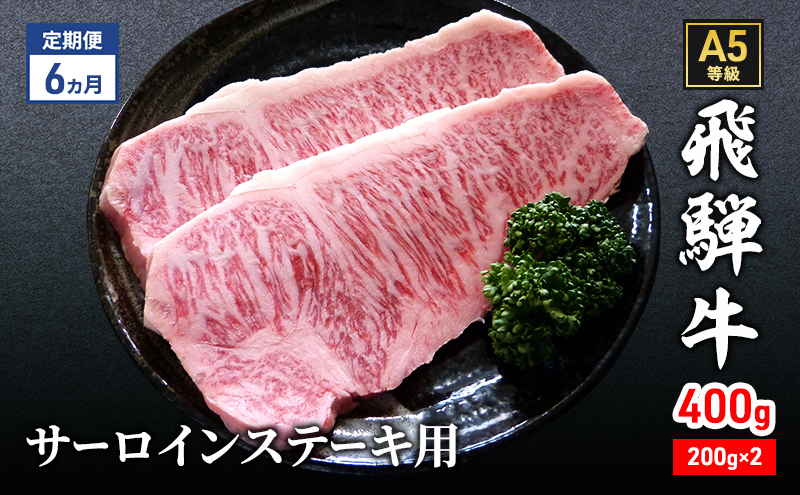 【定期便6ヶ月】牛肉 飛騨牛 サーロイン ステーキ セット 400g（1枚 約200g×2枚） 黒毛和牛 A5 美味しい お肉 牛 肉 和牛 サーロインステーキ 【岐阜県瑞穂市】