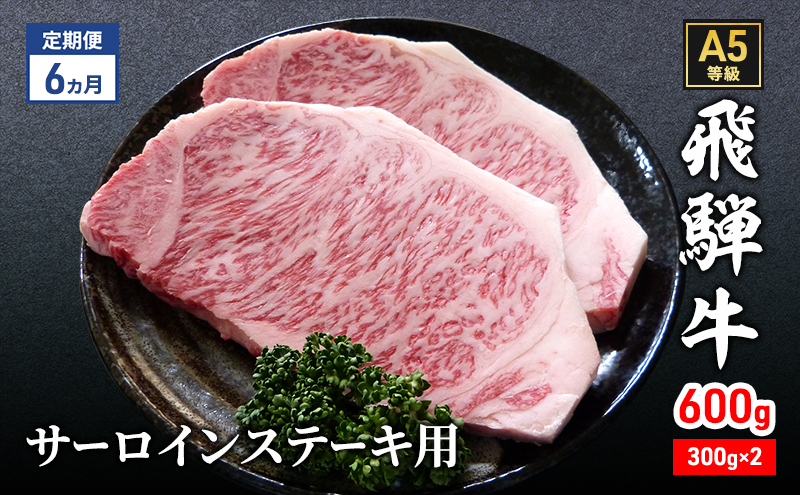 【定期便6ヶ月】牛肉 飛騨牛 サーロイン ステーキ セット 600g（1枚 約300g×2枚） 黒毛和牛 A5 美味しい お肉 牛 肉 和牛 サーロインステーキ 【岐阜県瑞穂市】