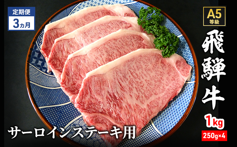 【定期便3ヶ月】牛肉 飛騨牛 サーロイン ステーキ セット 1kg（1枚 約250g×4枚 ） 黒毛和牛 A5 美味しい お肉 牛 肉 和牛 サーロインステーキ 【岐阜県瑞穂市】