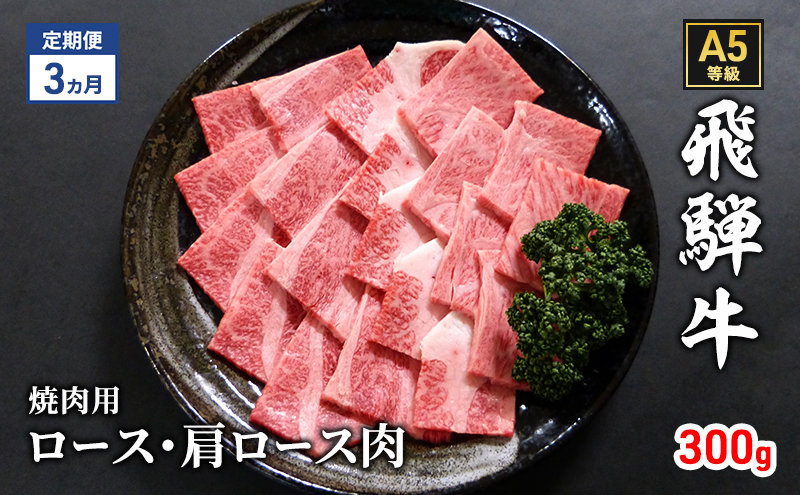 【定期便3ヶ月】牛肉 飛騨牛 焼き肉 セット ロース 又は 肩ロース 300g 黒毛和牛 A5 美味しい お肉 牛 肉 和牛 焼肉 BBQ バーベキュー 【岐阜県瑞穂市】