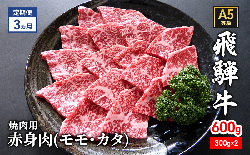 【定期便3ヶ月】牛肉 飛騨牛 焼き肉 セット 赤身 モモ 又は カタ 600g 黒毛和牛 A5 美味しい お肉 牛 肉 和牛 焼肉 BBQ バーベキュー 【岐阜県瑞穂市】