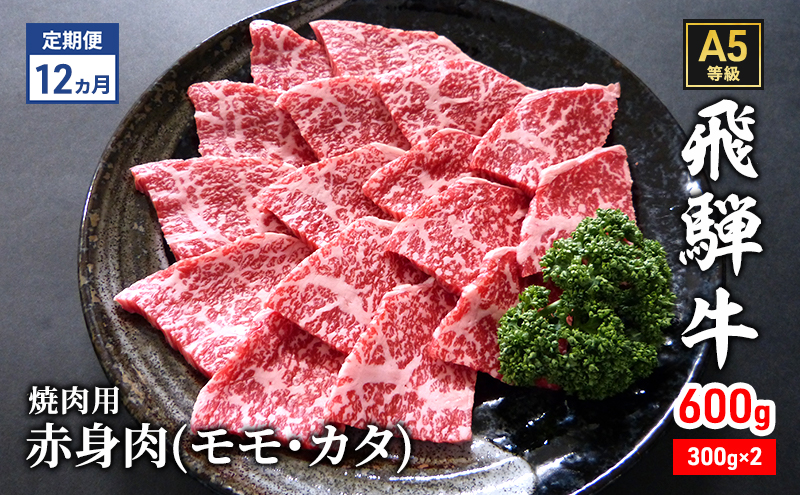 【定期便12ヶ月】牛肉 飛騨牛 焼き肉 セット 赤身 モモ 又は カタ 600g 黒毛和牛 A5 美味しい お肉 牛 肉 和牛 焼肉 BBQ バーベキュー 【岐阜県瑞穂市】