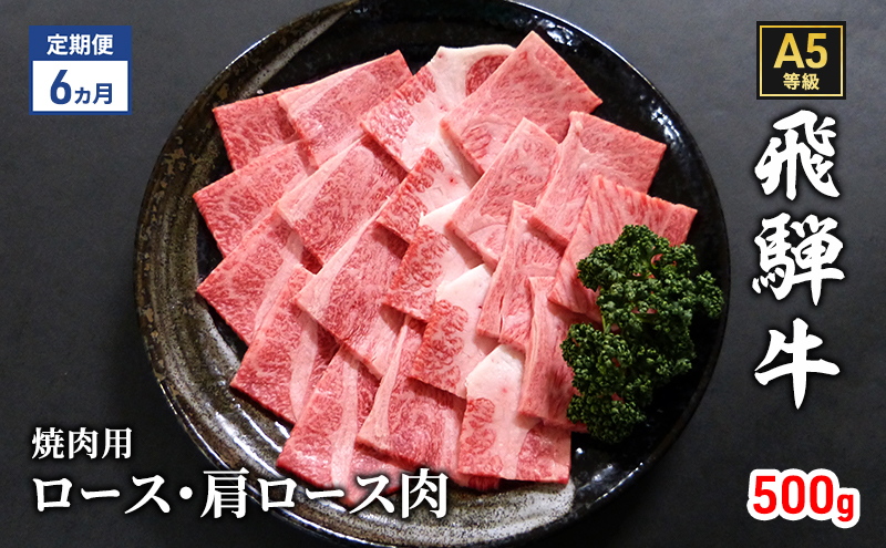 【定期便6ヶ月】牛肉 飛騨牛 焼き肉 セット ロース 又は 肩ロース 500g 黒毛和牛 Ａ5 美味しい お肉 牛 肉 和牛 焼肉 BBQ バーベキュー 【岐阜県瑞穂市】