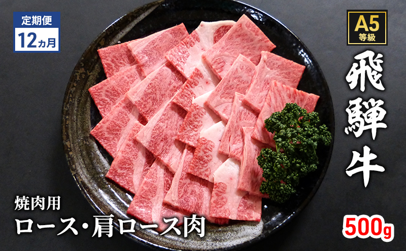 【定期便12ヶ月】牛肉 飛騨牛 焼き肉 セット ロース 又は 肩ロース 500g 黒毛和牛 Ａ5 美味しい お肉 牛 肉 和牛 焼肉 BBQ バーベキュー 【岐阜県瑞穂市】