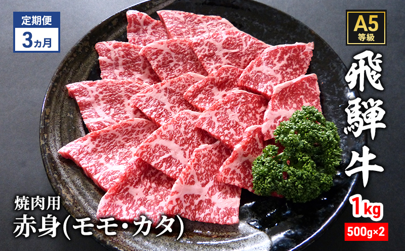 【定期便3ヶ月】牛肉 飛騨牛 焼き肉 セット 赤身 モモ 又は カタ 1kg 黒毛和牛 Ａ5 美味しい お肉 牛 肉 和牛 焼肉 BBQ バーベキュー 【岐阜県瑞穂市】