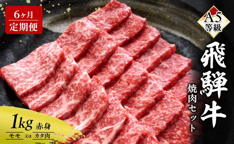 【定期便6ヶ月】牛肉 飛騨牛 焼き肉 セット 赤身 モモ 又は カタ 1kg 黒毛和牛 Ａ5 美味しい お肉 牛 肉 和牛 焼肉 BBQ バーベキュー 【岐阜県瑞穂市】