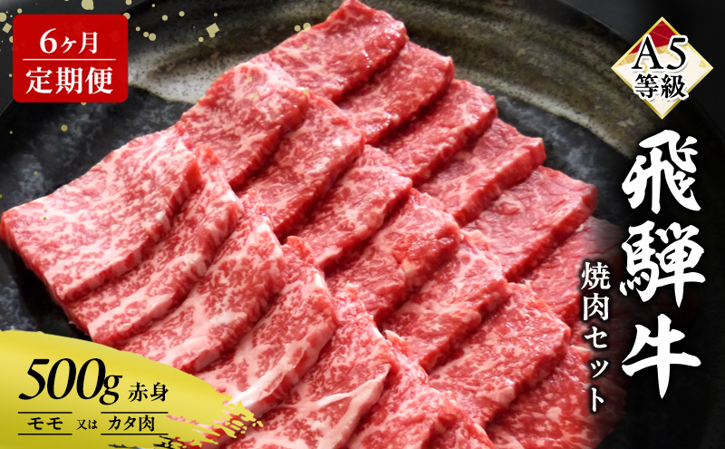 【定期便6ヶ月】牛肉 飛騨牛 焼き肉 セット 赤身 モモ 又は カタ 500g 黒毛和牛 Ａ5 美味しい お肉 牛 肉 和牛 焼肉 BBQ バーベキュー 【岐阜県瑞穂市】