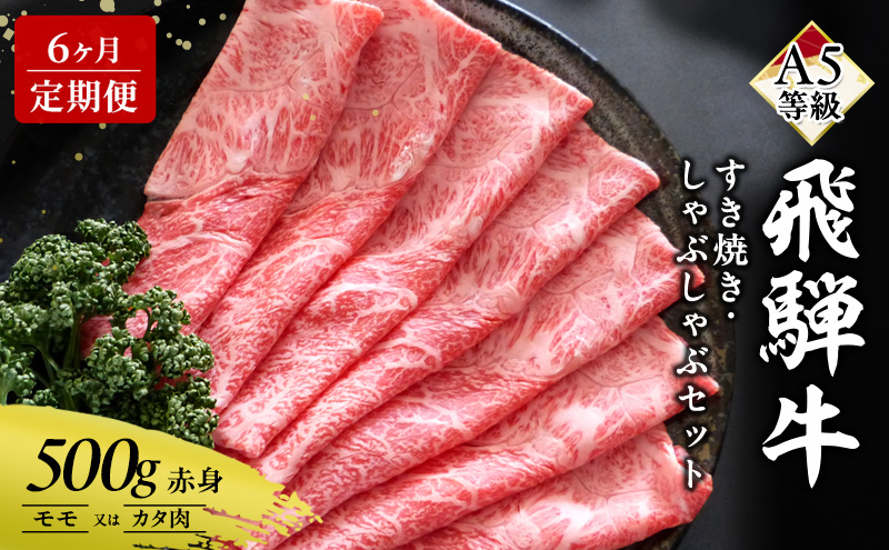 【定期便6ヶ月】牛肉 飛騨牛 すき焼き しゃぶしゃぶ セット 赤身 モモ 又は カタ 500g 黒毛和牛 Ａ5 美味しい お肉 牛 肉 和牛 すき焼き肉 すきやき すき焼肉 しゃぶしゃぶ肉 【岐阜県瑞穂市】