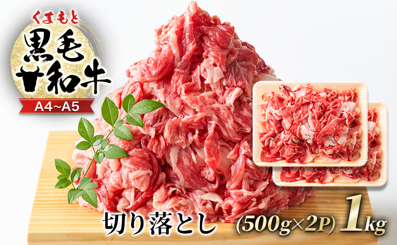 牛肉 A4～A5 くまもと 黒毛和牛 切り落とし 1kg (500g×2p) 肉 お肉 ※配送不可：離島